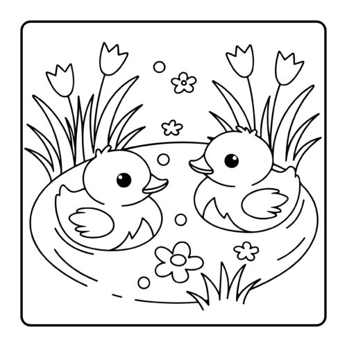 Baby ducks swimming in a pond with tulips