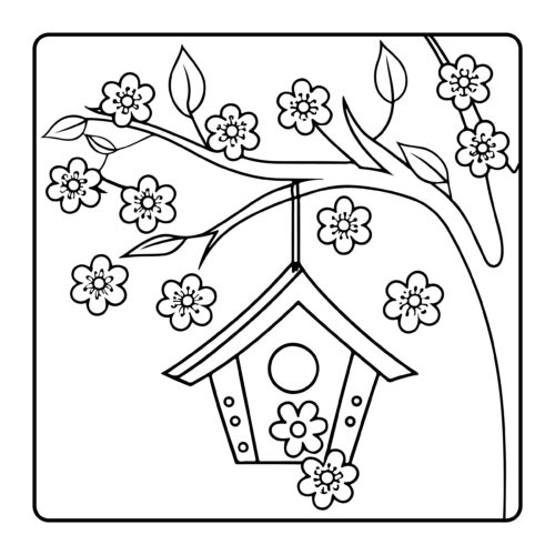 Birdhouse hanging from branch with cherry blossoms