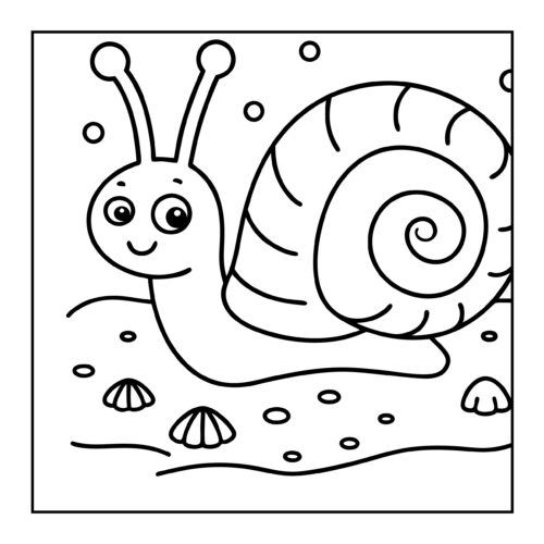 Cute snail with swirly shell crawling on sand with seashells
