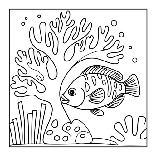 Fish swimming near coral reef formations