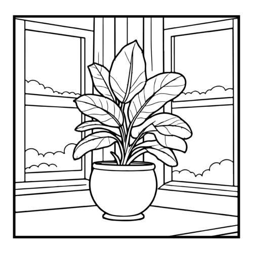 Houseplant with large leaves in a pot by windows