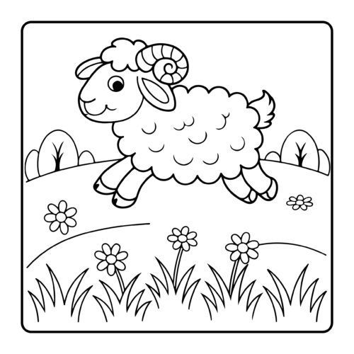 Sheep running in the garden