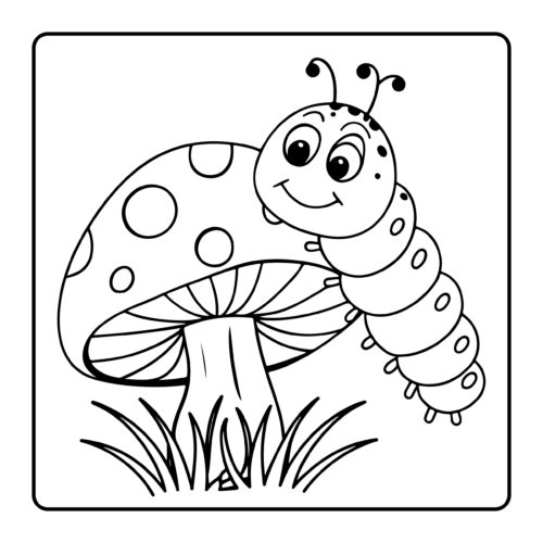 Smiling ladybug crawling on mushroom in grass