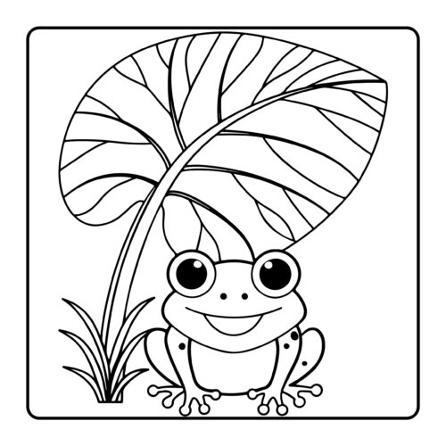 Spotted frog under large leaf in rain