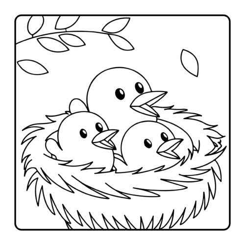 Three baby birds chirping in nest under leaves