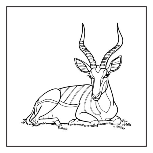 Antelope resting peacefully on the ground