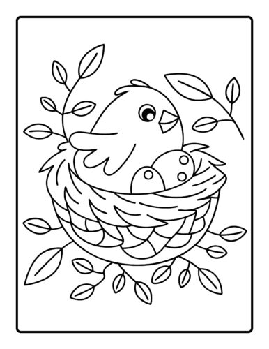 Baby bird in nest with spotted eggs and branches