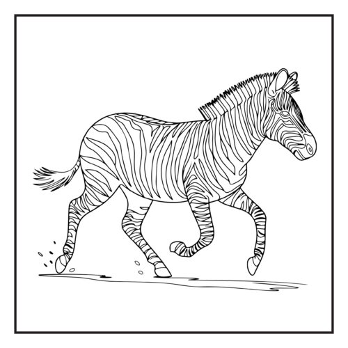 Beautiful zebra galloping across the open plains