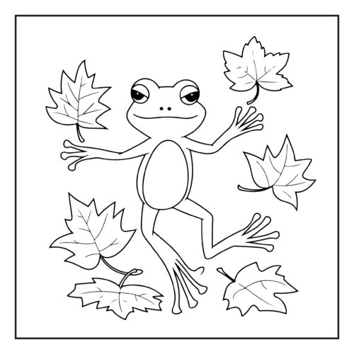 Cheerful frog playing with colorful autumn leaves