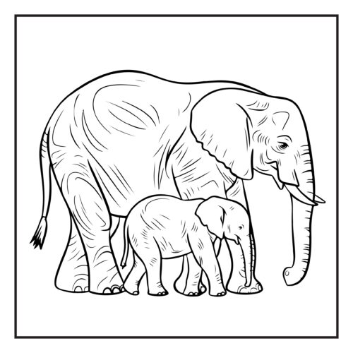 Elephant mother protecting her small calf