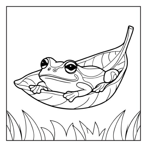 Frog relaxing comfortably in a hanging hammock