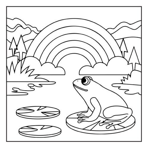 Frog sitting under beautiful rainbow by pond