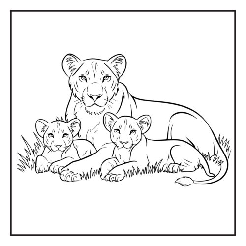 Lion family resting together in grass