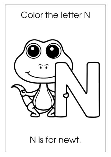 N is for newt Small lizard like amphibian