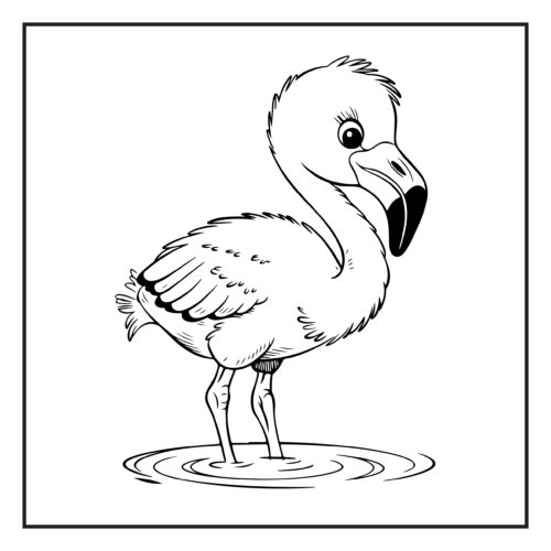 Pink flamingo standing gracefully in shallow water