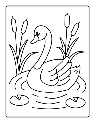 Swan in pond with cattails and lily pads