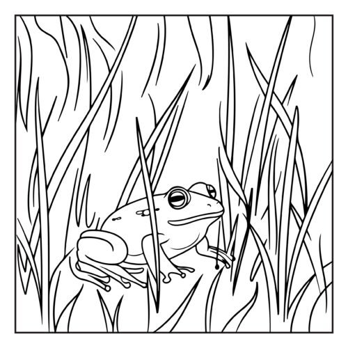 Two frogs sitting together in tall grass