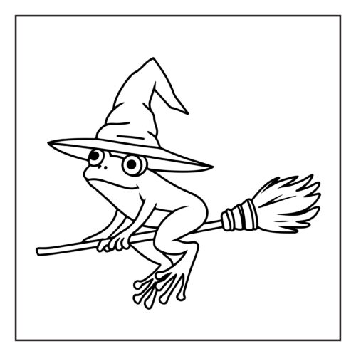 Witch frog flying on broomstick with hat