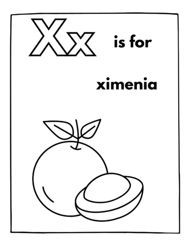 X is for Ximenia