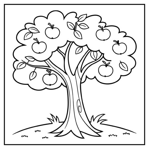 Apple tree with fruit