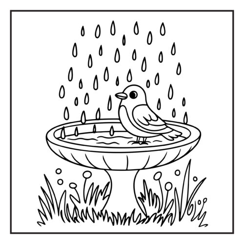 Bird in birdbath with rain