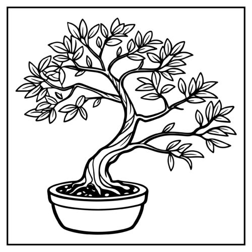 Bonsai tree in bowl