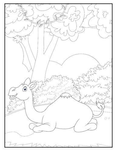 Camel resting under large tree