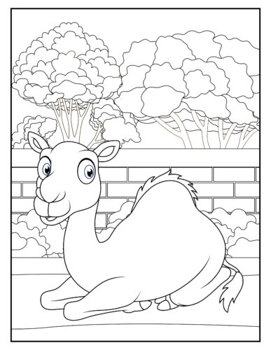 Camel sitting by brick wall