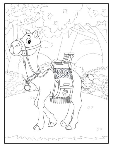 Camel with decorative saddle outdoors