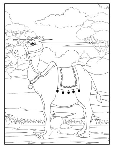 Camel with saddle in landscape