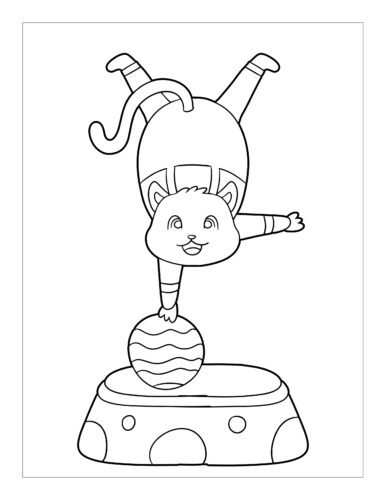 Cat handstand on ball