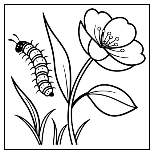 Caterpillar and flower with grass