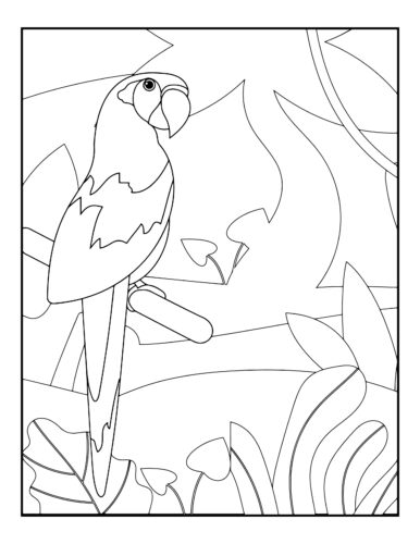 Colorful parrot in jungle setting