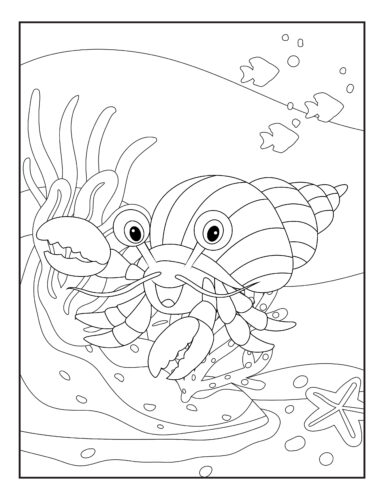 Crab sea adventure