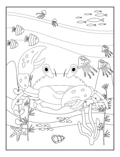 Crab underwater sea scene