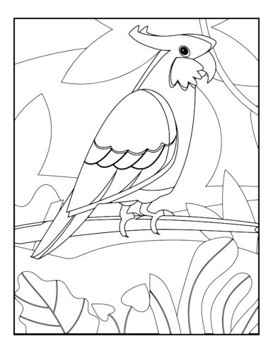 Crested parrot in forest setting