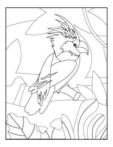 Crested parrot with spiky feathers