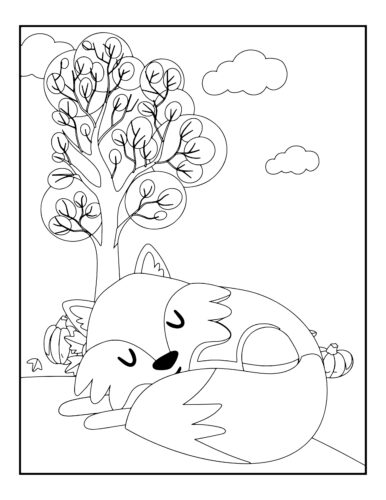 Curled up sleepy fox