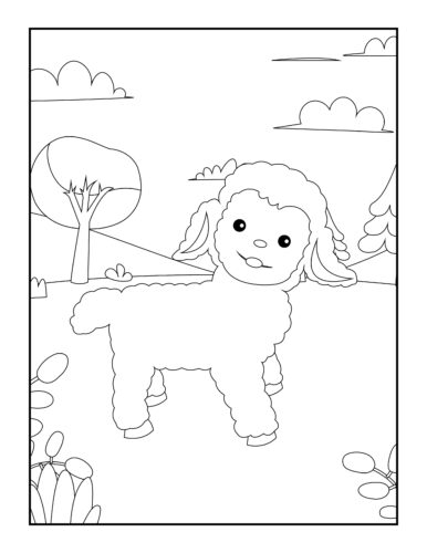 Curly sheep in countryside meadow