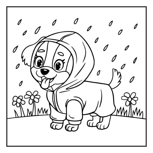Cute dog wearing rain jacket