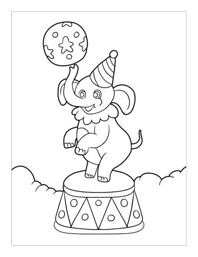 Elephant balancing ball circus