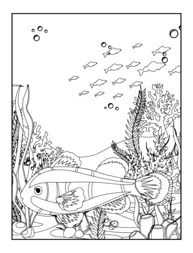 Elongated fish near ocean plants