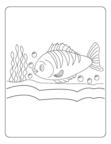 Fish near seaweed and bubbles