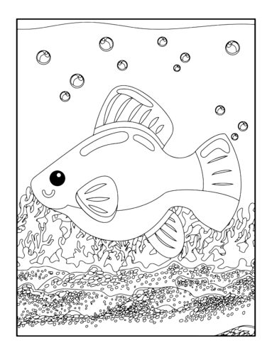Fish swimming near coral reef bottom
