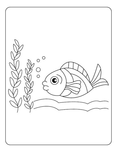 Fish swimming near seaweed plants