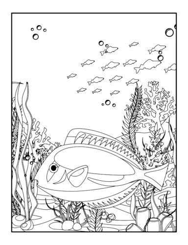 Flat fish near coral formations
