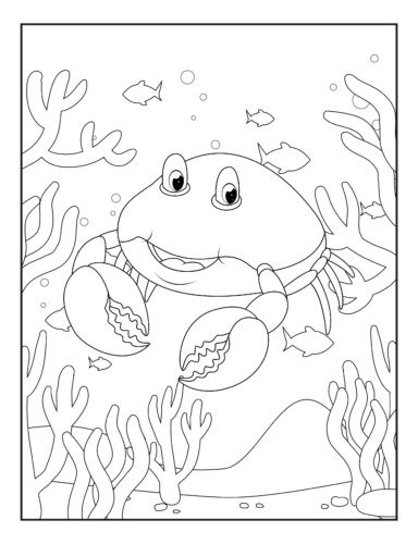 Friendly Crab ocean habitat
