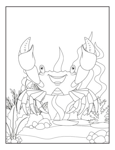 Friendly crab with sea plants
