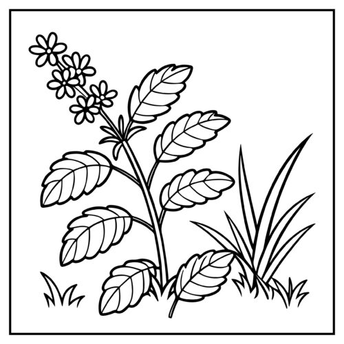 Garden plant with detailed leaves