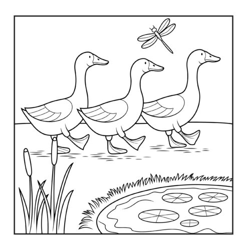 Group of ducks walking